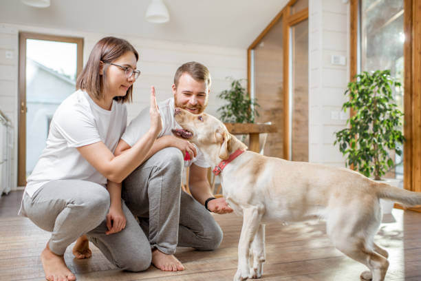 Couple playing with dog